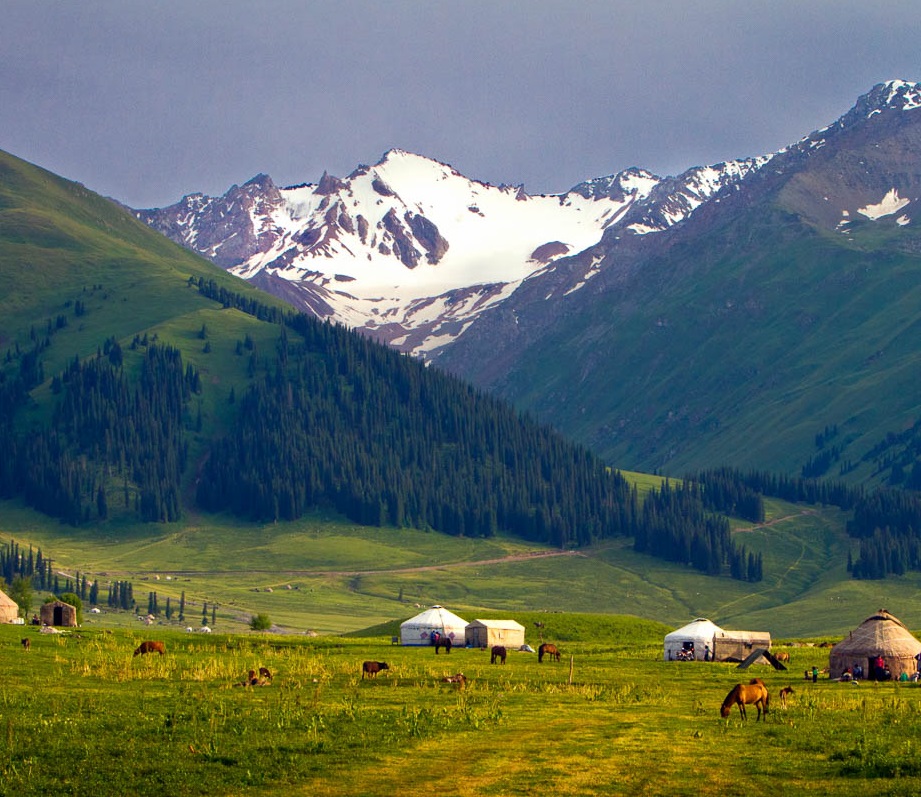 生態(tài)系統(tǒng)健康和管理——生態(tài)系統(tǒng)健康的管理原則、評估要點和指標