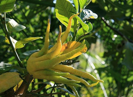 b7003af33a87e95025b08d3313385343faf2b4cd.jpg b7003af33a87e95025b08d3313385343faf2b4cd.jpg