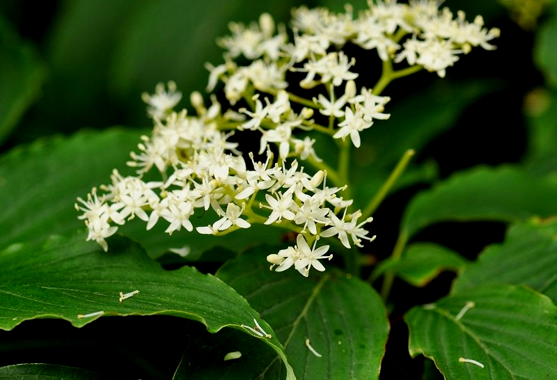 燈臺??1.jpg 燈臺??1.jpg